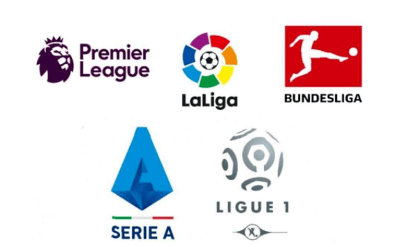 南京头排苏 南京头排苏