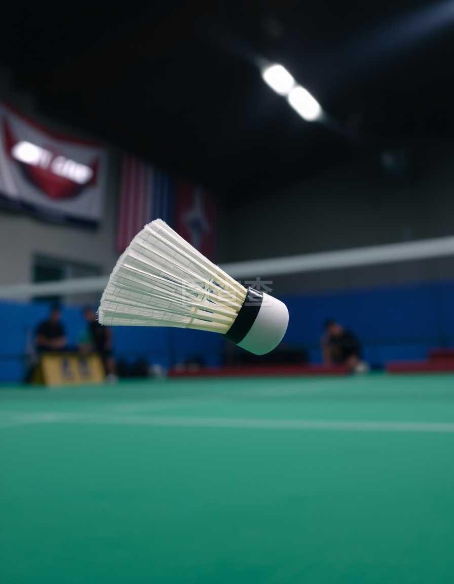 一个潜在的 一个潜在的